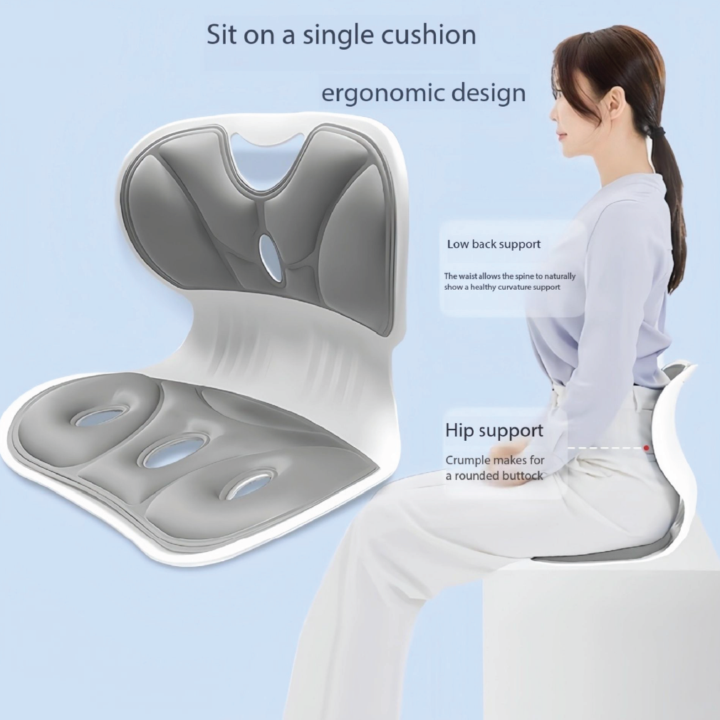 Powerful Ergonomic Lumbar Support Cushion in Bangladesh – Aminsuk