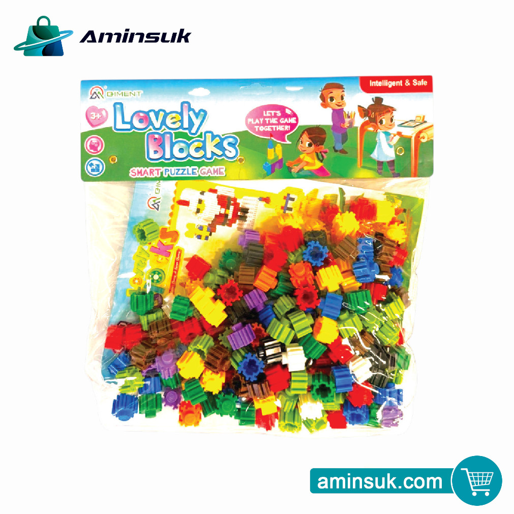 Lovely Smart Blocks Puzzle Set
