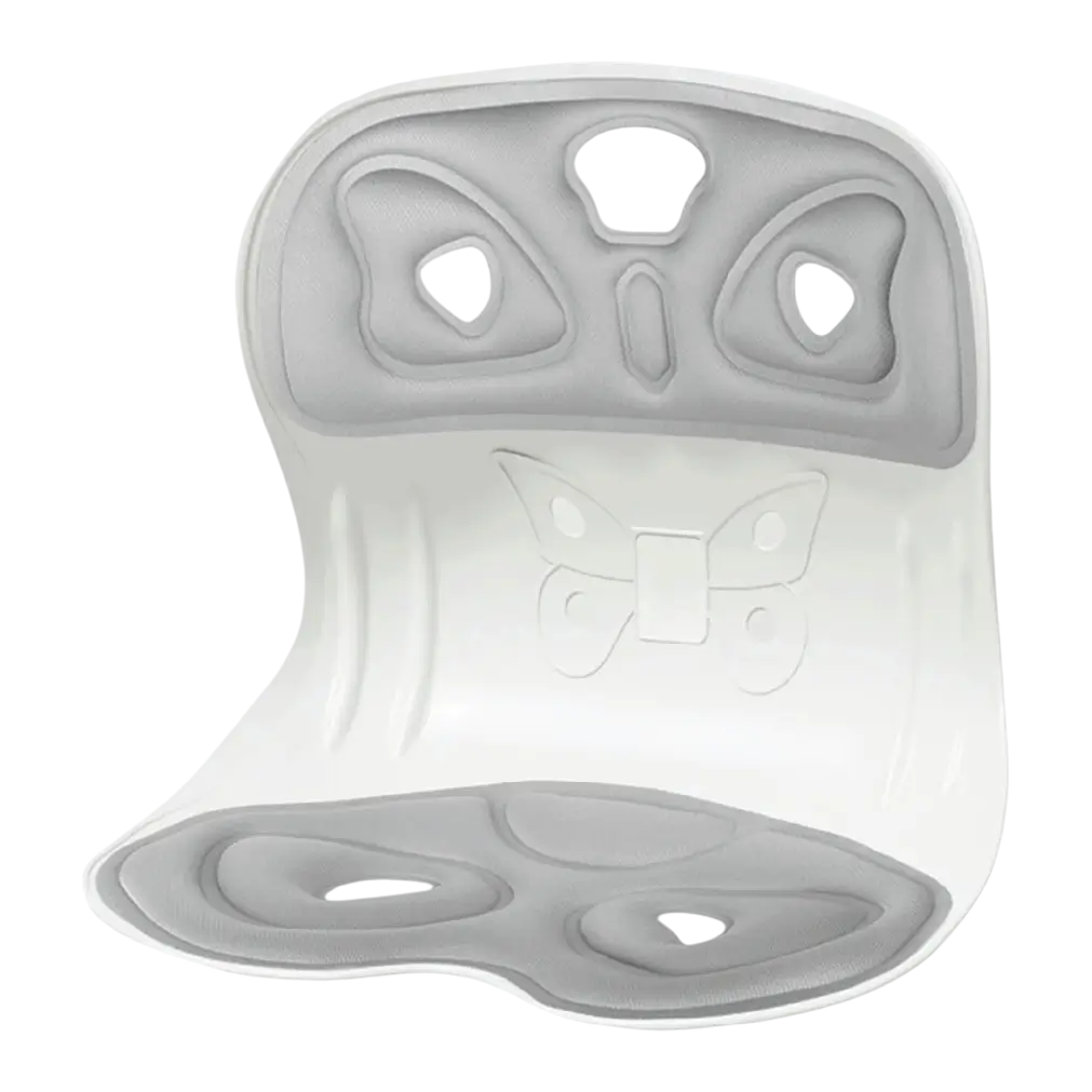 ErgoRelief Lumbar Support Cushion