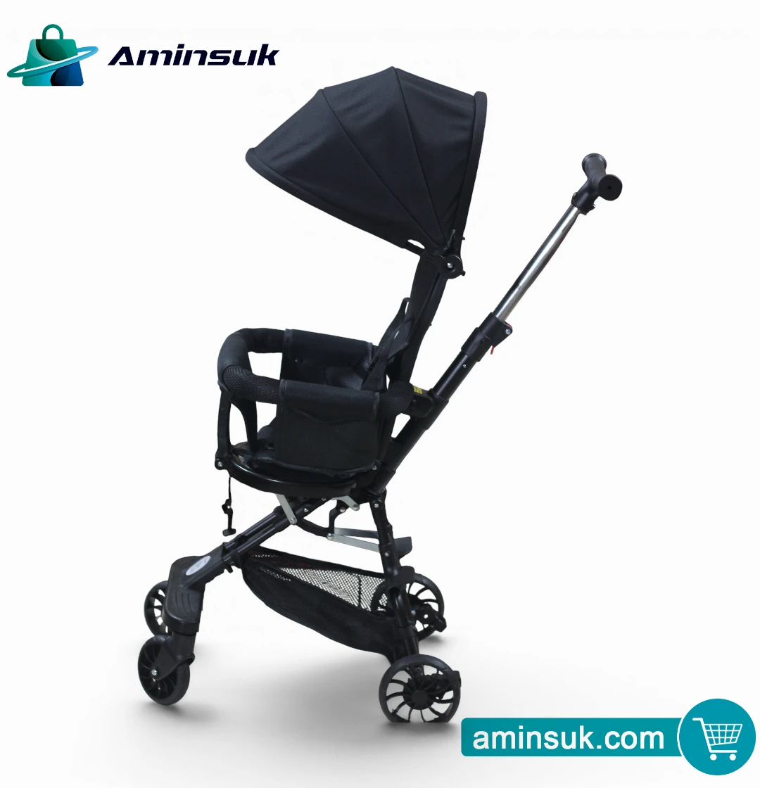 Premium Baby Tricycle Stroller with Canopy | Foldable Kids Push Trike thumbnail 5