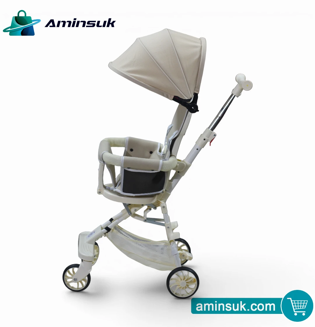 Premium Baby Tricycle Stroller with Canopy | Foldable Kids Push Trike thumbnail 9