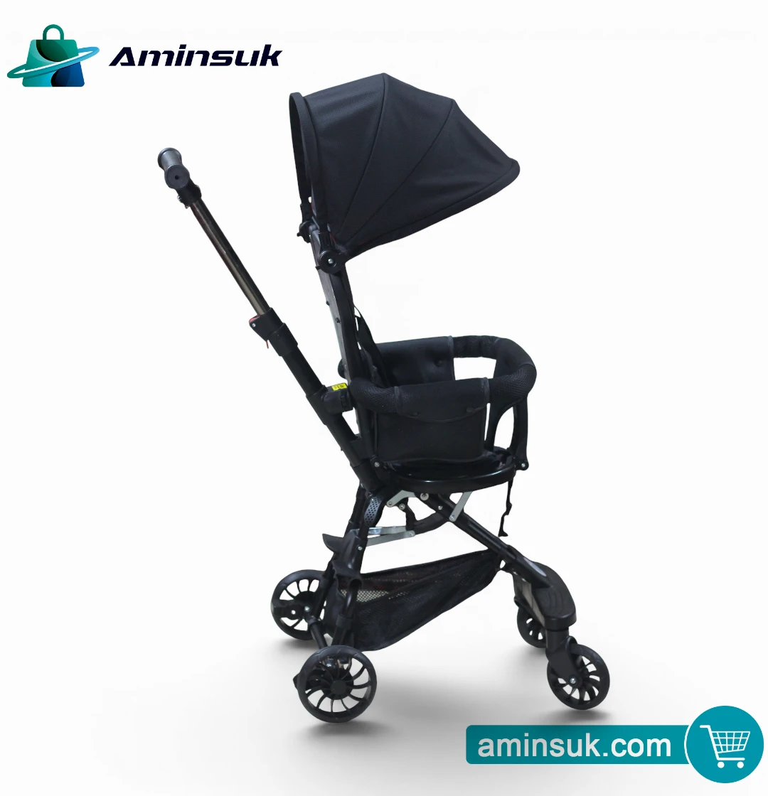 Premium Baby Tricycle Stroller with Canopy | Foldable Kids Push Trike thumbnail 4