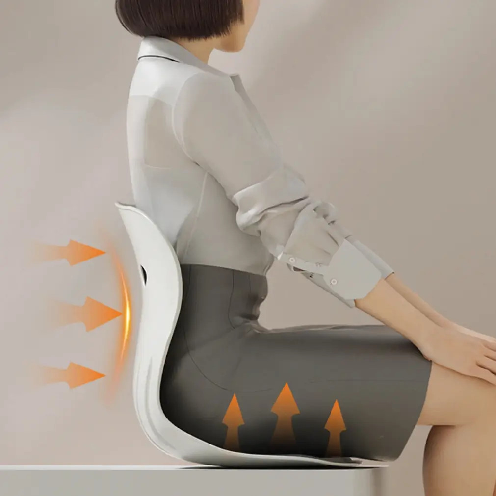 ErgoRelief Lumbar Support Cushion thumbnail 5