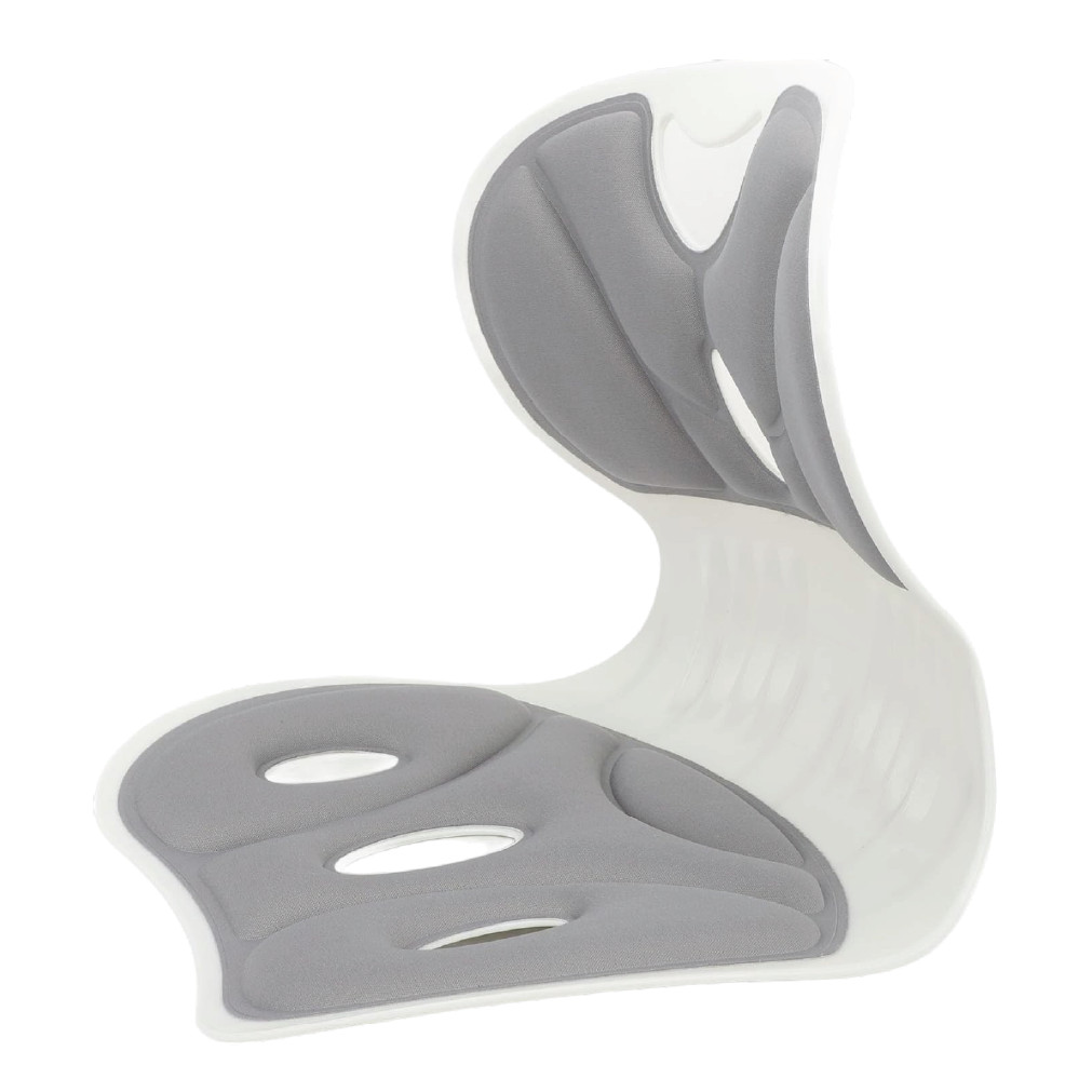 Powerful Ergonomic Lumbar Support Cushion in Bangladesh – Aminsuk thumbnail 2