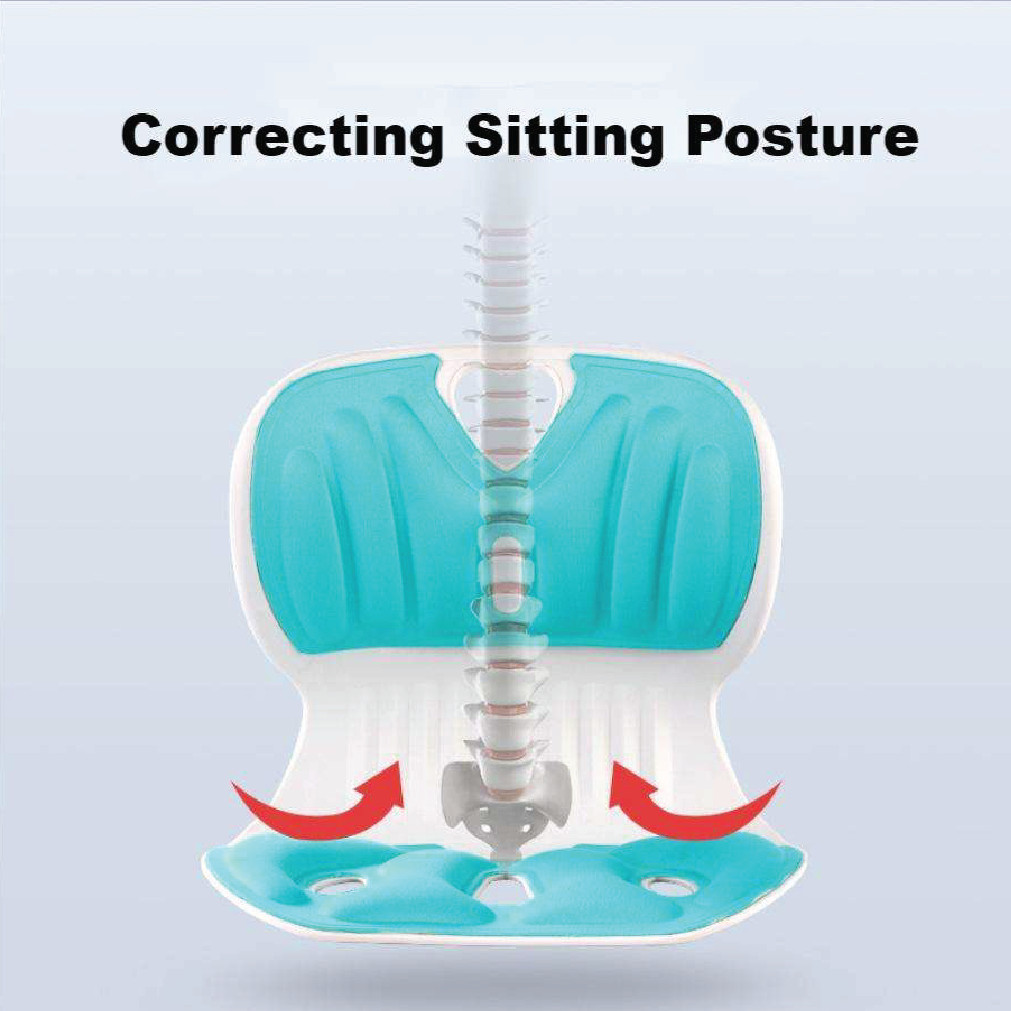 Powerful Ergonomic Lumbar Support Cushion in Bangladesh – Aminsuk thumbnail 7
